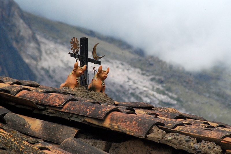 Laura i Astronom_super-87.JPG - Świnki morkie. :) Wyobraźcie sobie, że oni tu jedzą te biedne stworzonka. Potwory i kanalie. Do dziś nie możemy uwierzyć :) (Zdjęcie: Laura i Astronom)